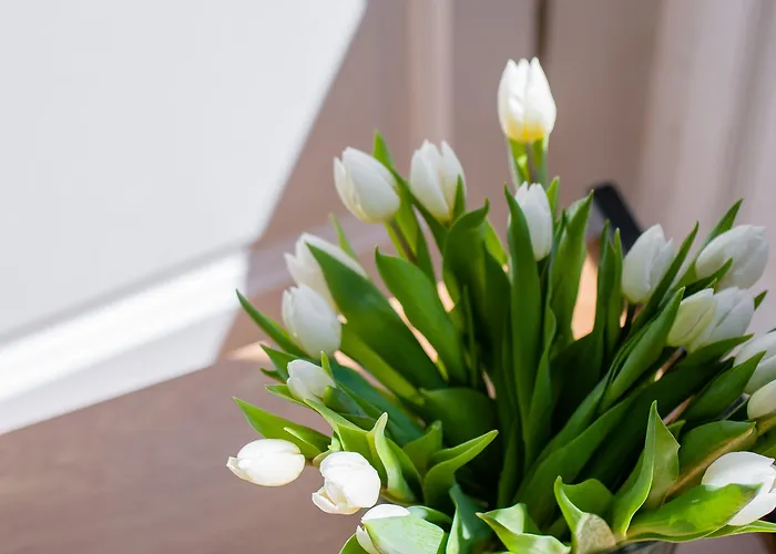 Kbirr Charming House Неаполь